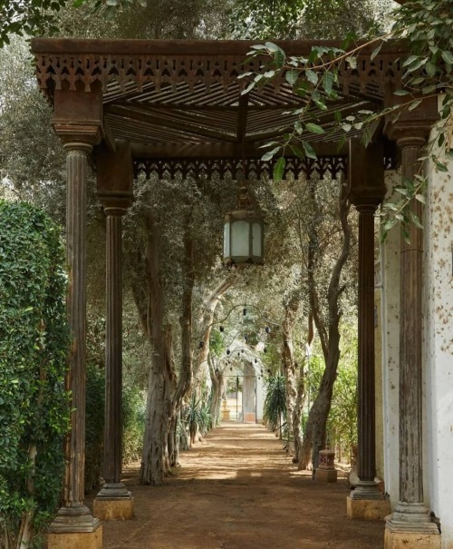 derwandelndegeist: Noble Paradaiza Gate Do You Want to Be a Knight or Lady of the Divine Star Society and the Order of the Drakon?! 