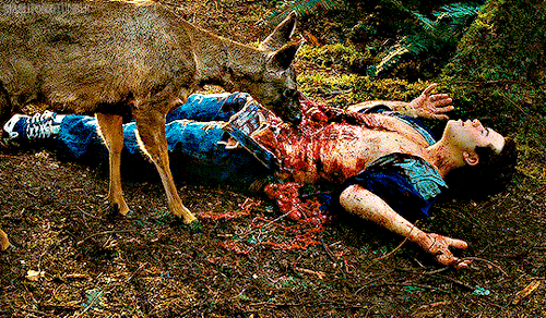 Jennifer’s Body (2009) #Horroredit#Filmedit#Movieedit#Jennifer’s Body#Karyn Kusama#2009#2000s#Gore#Blood#Bloody