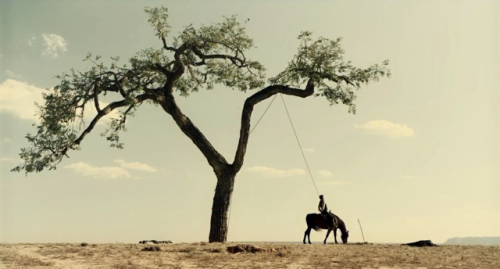 The Ballad Of Buster Scruggs , Coen Brothers , 2018. 