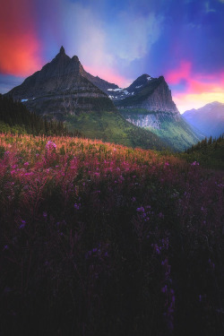 lsleofskye:  Valley of Light | davidvoyevodaphotography