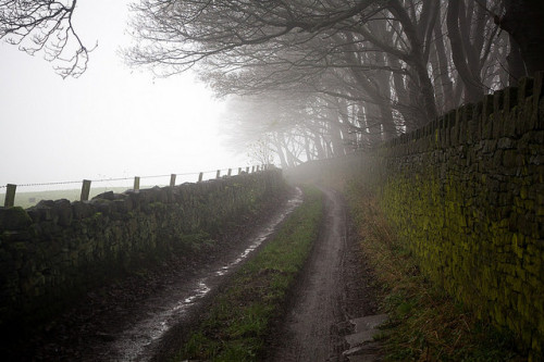 The lane down to Hebden Bridge by Richard Carter on Flickr.