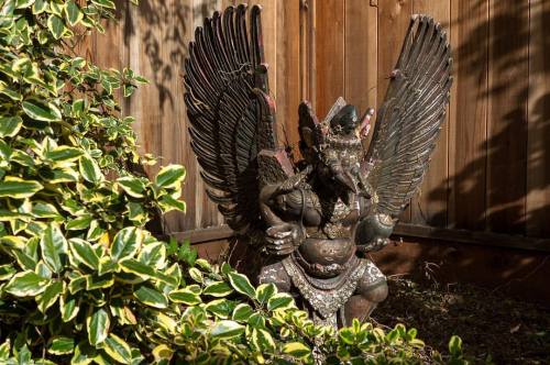 The Garuda of Suburbia.#suburbistan #suburban #suburbia #garuda #garudaindonesia #mythology #hindu