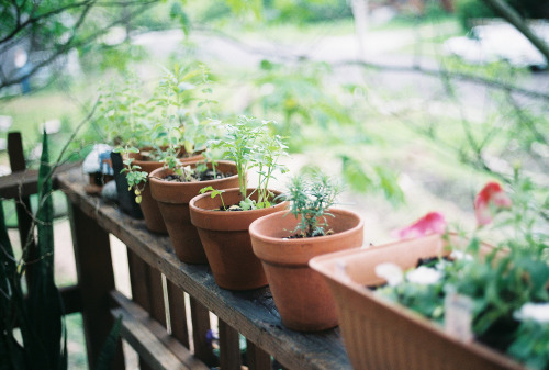 dvnity: ▲ vintage