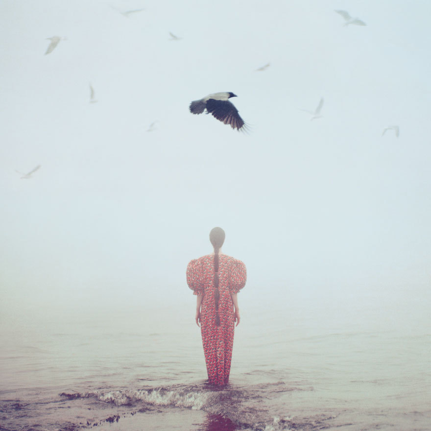 1030-42929:  2015, Oleg Oprisco