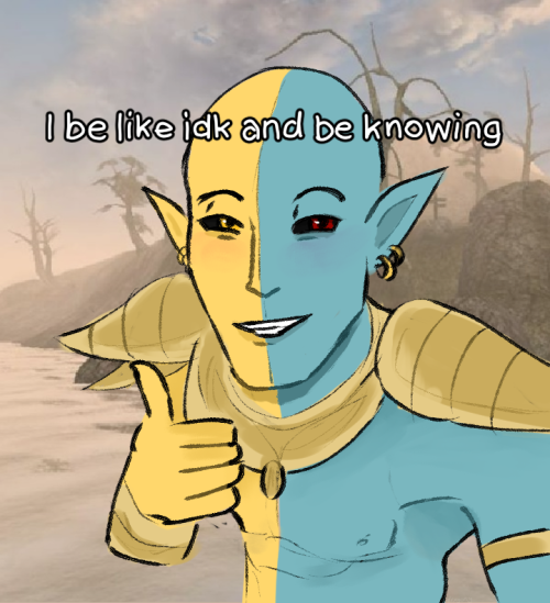 beloved @cayemm​ and i have been in morrowind brainrot hours, anywho. enjoy​