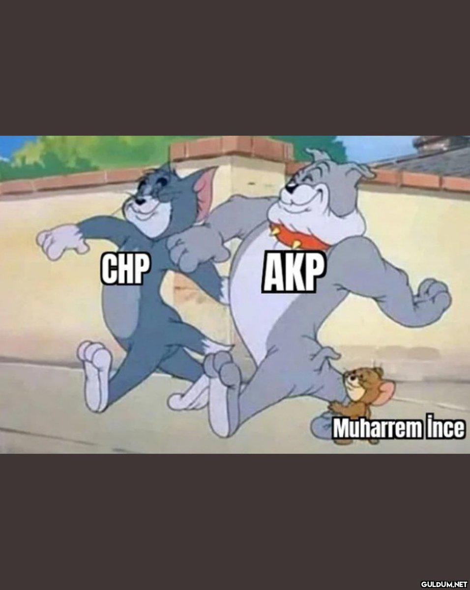 " CHP AKP Muharrem ince    Kaynak"