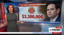 mediamattersforamerica: MSNBC’s Stephanie Ruhle breaks down how much money the NRA has given to Republicans who talk about their “thoughts and prayers&quot;—“The thoughts and prayers are with the victims. The dollars and cents are another story.”