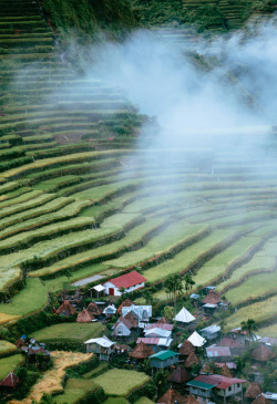 westeastsouthnorth:Batad, Ifugao, Philippines