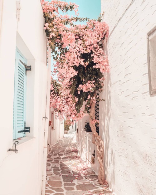 Paros, Greece ~ Polina Paraskevopoulou