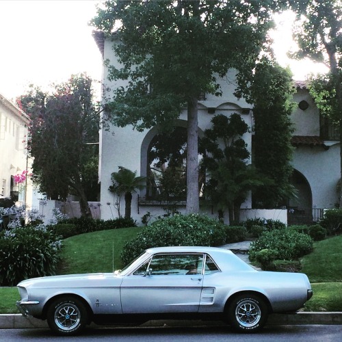 JUST THE COOLEST MUSTANGS