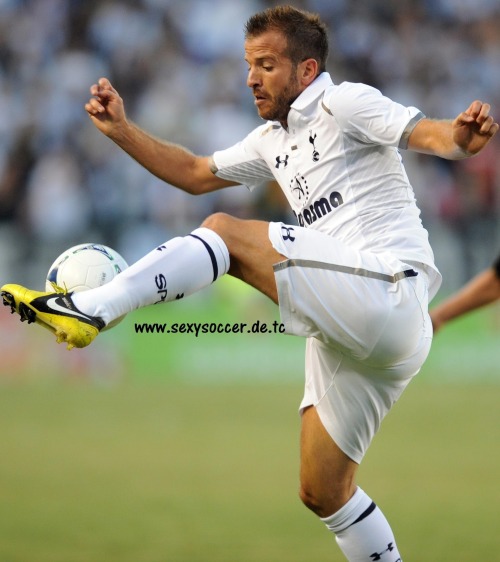 Rafael van der VaartDutch footballer