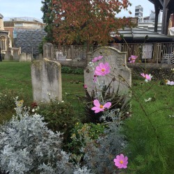 heroincest:  st. stephen’s cemetery, norwich