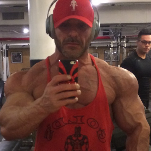 slut4muscles:  bbfan:  awesomestefangermany: myfavoritemusclemen:   Mike Yablon - 2 http://myfavoritemusclemen.tumblr.com/post/140928761303/mike-yablon-1   Wow!   Awesome Collection of Mike….  Dilf