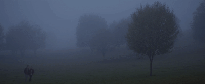 11ef0d07d4d5971967138b58a2c8b7123bbcaebb.gifv