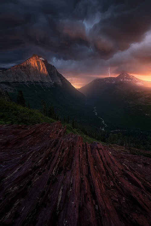 ponderation:  Dissolution by Ryan Dyar