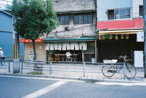 にほんてき