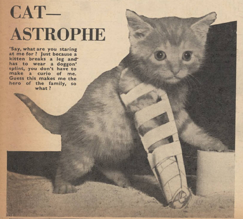 yesterdaysprint:Good Morning by the Daily Mirror, England, August 9, 1943