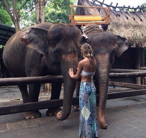 strawnana:  tropiqua-l:palm-tropic:❀ ☼ follow for more tropical ☼❀  ☯ q’d active and i follow back :) ☯  smile today