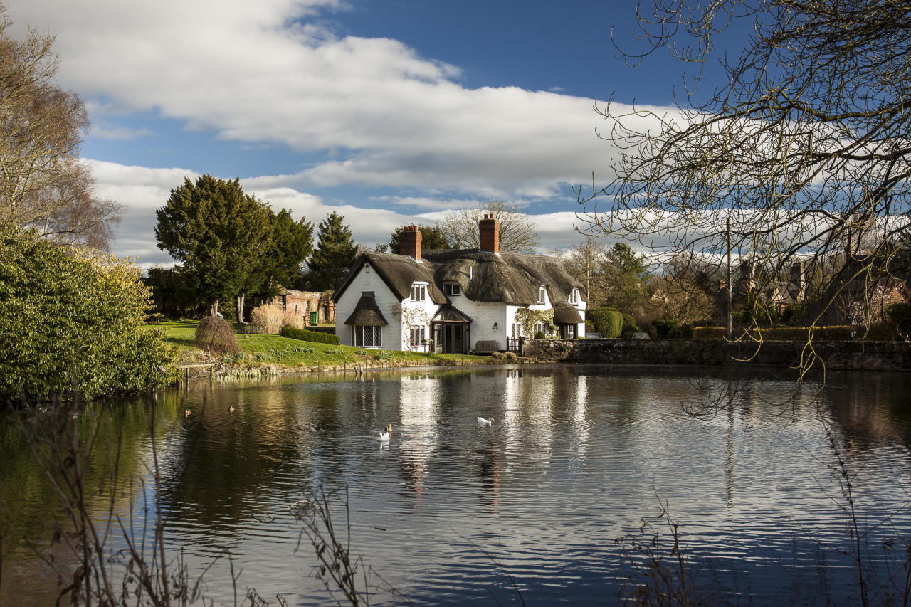 englishcottagedreams:  (via 500px / Badger Pool by Dan Kemsley) 