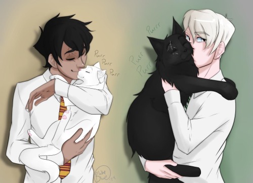 Kitty Cuddles