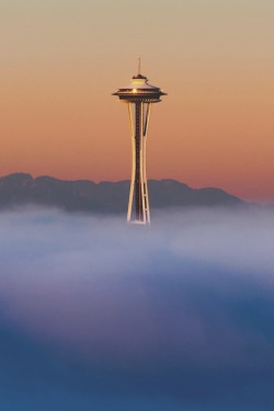 visualechoess: Settle Space Needle - by: