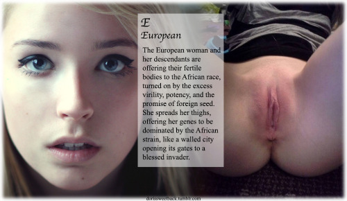 djaam-white:  Eurabiafricathe new laws 