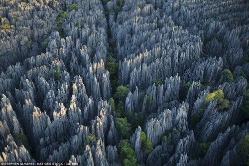 gorgeousgeology:naturallyaspirated:gorgeousgeology:naturallyaspirated:gorgeousgeology:Madagascar, Ts