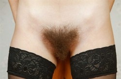 Bigsohotpubes:  More Hairy Babes Here