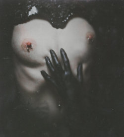 o-amor-e-a-vida-a-sonhar:    © Natalia Drepina   