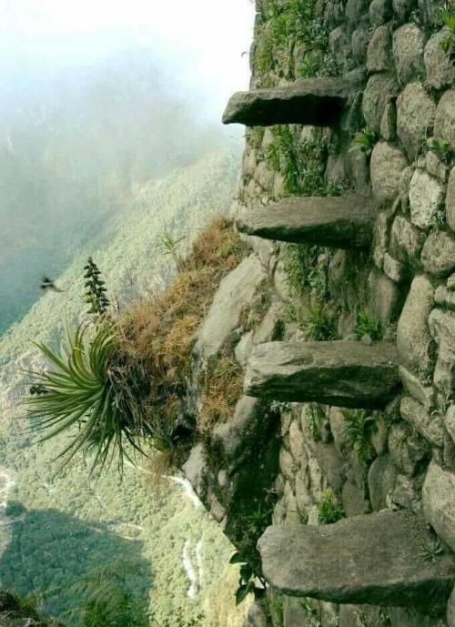 sixpenceee: “The Stairs of Death” in Huayna Picchu, Peru         &nb