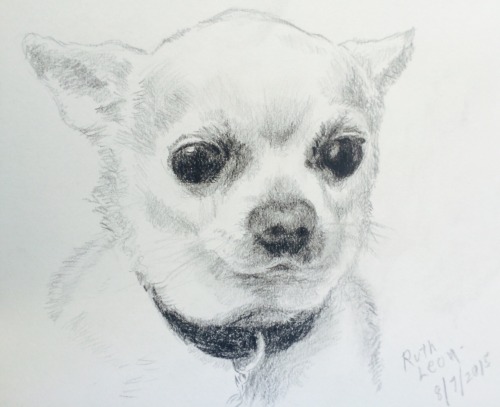 albertothechihuahua:some gorgeous fan art by Ruth Leon ❤️for those who have commented or sent messag