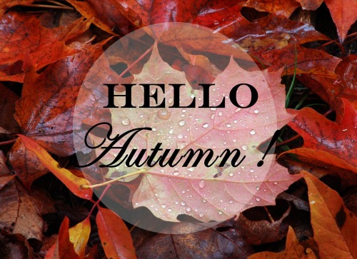 crisp-air-falling-leaves: It’s officially autumn! &lt;3