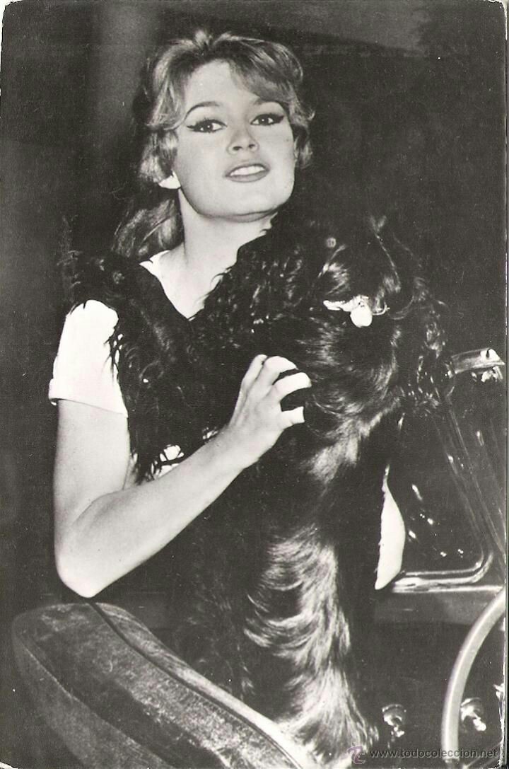 Brigitte Bardot Fan Letters Brigitte Bardot Fan Letters