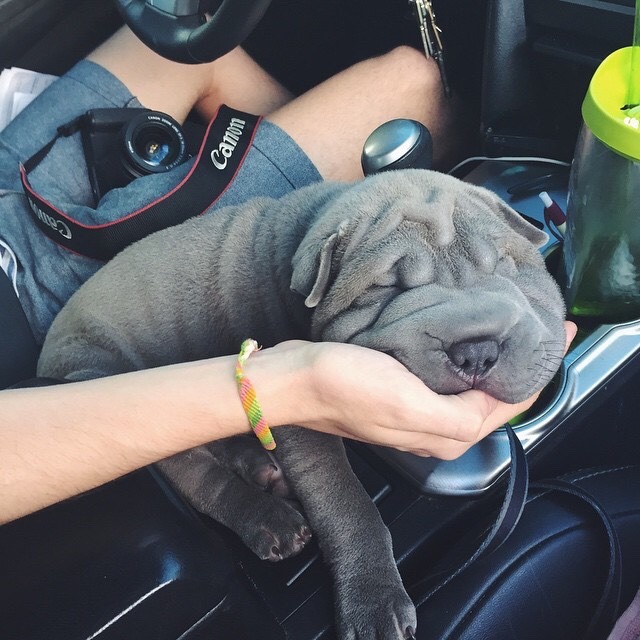 if-it-makes-you-happyyy:  ✹ check for more ✹
