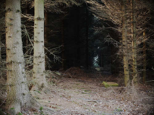 Zlínské lesy by Ondřej Kaňa on Flickr.