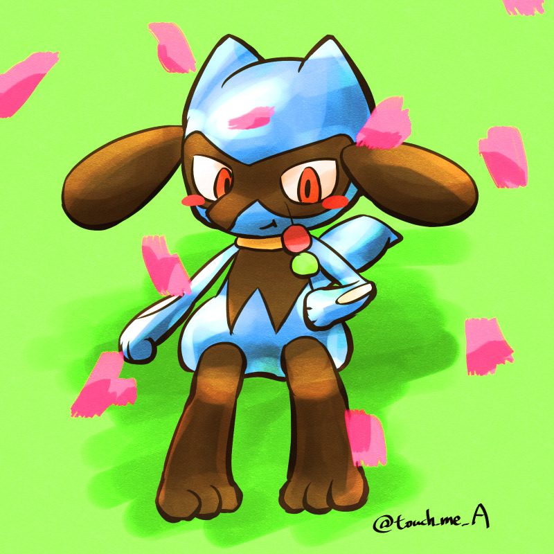 The Aurora Pokemon Touch Me A 18 03 27 花より団子 リオル