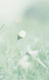 ryeou:  (photography by happypastel~) 