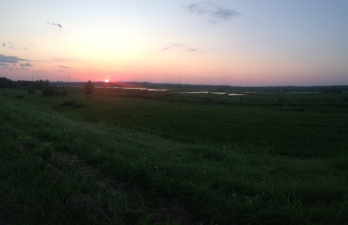 peep:  this was pretty