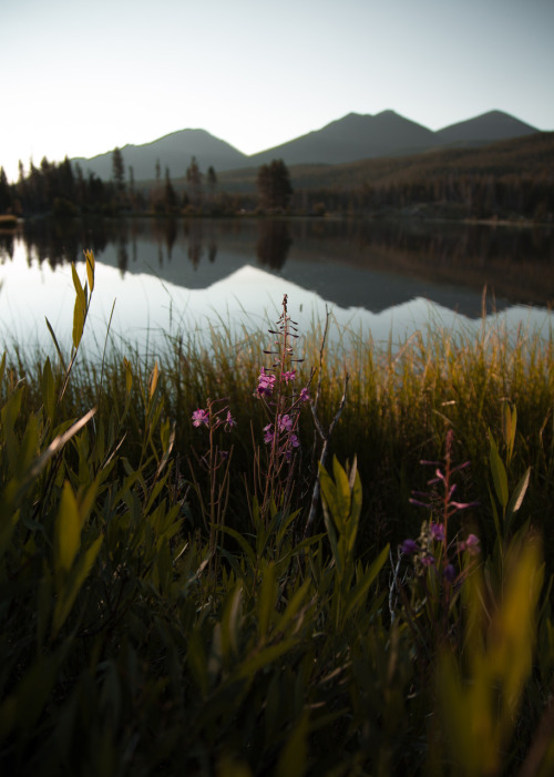 j-k-i-ng: “Sprague Lake“ by | Amy Bailey
