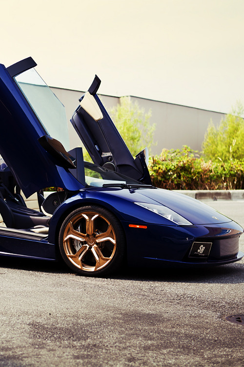 supercars-photography:  Lamborghini Murcielago Roadster by SRautogroup 