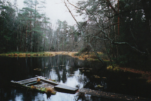 itacism: A Visit to Kruunuvuori by Polly Bird Balitro on Flickr.