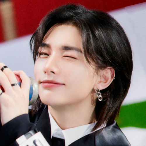 Stray Kids Icons.