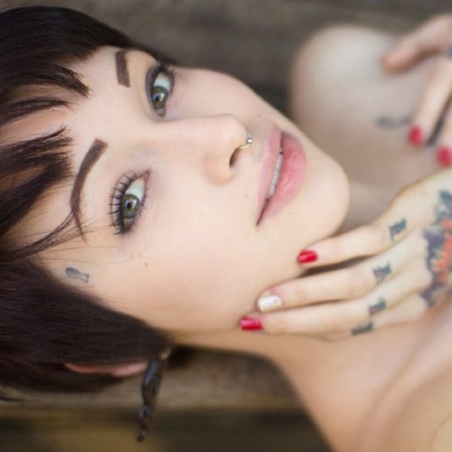   @lepetitefox  