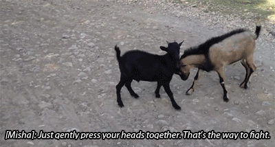 supernaturalapocalypse:  Source (x)