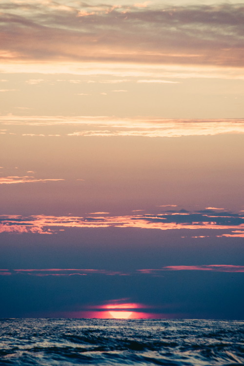 r2–d2:  Untitled by (A. Aleksandravičius) | Website 