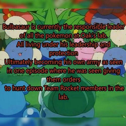 homo-nerd-grizz:  corsolanite:  bulbasaur-propaganda:  Some facts you need to know about the greatest anime character of all time!  IM SO PROUD OF HIM. ヾ(*´▽｀*)ﾉ    YALL SLEPT ON THIS BABY FOR TOO LONG