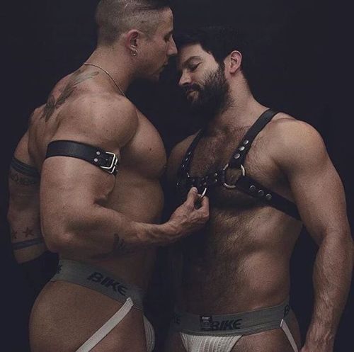 underwunder:  @underwunder