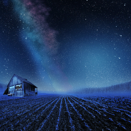 ByCaras Ionut