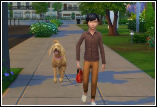 LittleMsSam's Sims 4 Mods — Kids can go for a Walk with Dogs This Mods  enables...