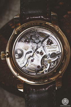 watchanish:  Now on WatchAnish.com - WatchAnish x Chronopassion.